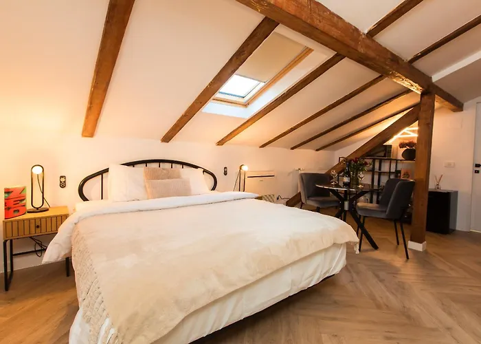 Arghezi Boutique アパート *